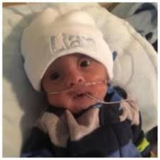 Obituary information for Liam John Tizzard