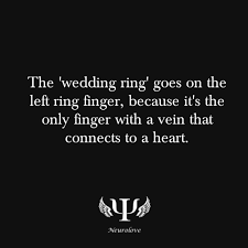 The Wedding Ring Goes On The Left Ring Finger Because It S The Only Finger With A Vein That Connects To A Heart Life Quotes Words Inspirational Quotes