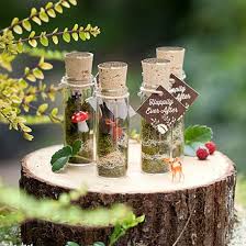 Faerie Terrarium Favors For Woodland Parties And Events Woodland Fairy Party Terrarium Wedding Terrarium Wedding Favor