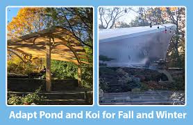 For those fish that are more delicate, a solution to protect them from cold is to mount a. Koi Pond In Winter Preparation Tips And Survival Guide