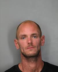 Police searching for wanted sex offender