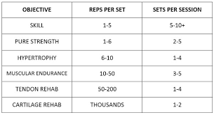 Calisthenics 20 16 20 Exercise Tactics And 16 Programming