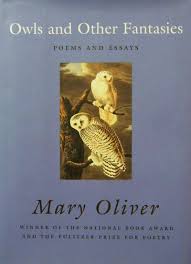 Pin By Deborah Parsons On Poem Fantasy Poems Poetry Books Poems