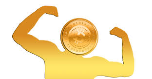 Image result for bitcoin