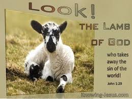 'a lion doesn't concern itself with the opinion of sheep.', mahatma gandhi: 6 Bible Verses About Lamb Of God