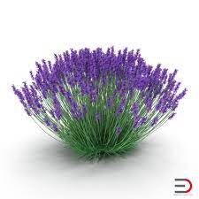 Pin On Plants And Landscape 3d Models