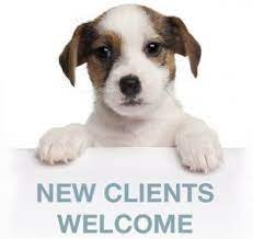 Looking for pet vet animal hospital pet care & boarding? Online Forms In Mountain Brook Vestavia Hills Al Pet Vet Express