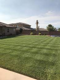 Spf 30 Hybrid Bluegrass The Lawn Forum