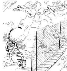 Heb je zelf een tijger kleurplaat die niet op deze pagina mag ontbreken? Kleurplaat Tijger Moeilijk