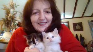 Lots of familiar names in this 1978 edition of The Cat's Dispatch. Please  tag your friends who might like to see this trip down memory lane.