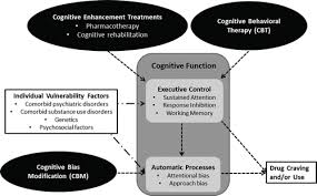 Image result for Stimulant Use Disorder