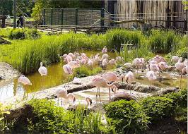 Don't miss out on great deals for things to do on your trip to leipzig! Leipzig Lese Der Leipziger Zoo