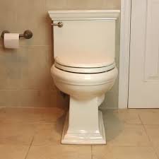 How To Fix A Jiggly Toilet Handle In 5 Steps Video Toilet Handle Bathroom Redesign Toilet