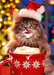 Nummy Christmas Cats Christmas Animals Christmas Kitten