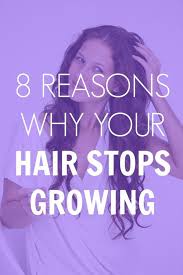 Why Your Hair Stops Growing And What You Can Do About It Long Hair Styles Hair Hair Beauty