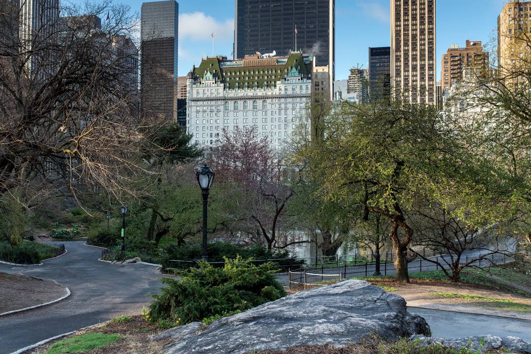 The Plaza
