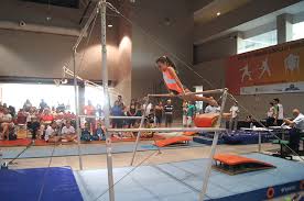Equipe de ginástica olímpica infantil traz medalhas para santa gertrudes. Festival De Ginastica Artistica Marca Final De Semana Em Fortaleza Governo Do Estado Do Ceara