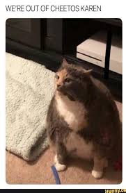 Pin On Lol Animal Memes