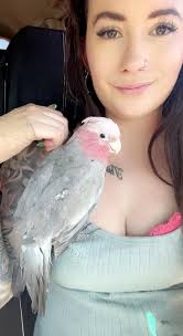 Is there a vet that is good with birds ??