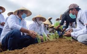 Apotek kimia farma, purwakarta, purwakarta regency, west java, indonezia — locație pe hartă, telefon, ore de deschidere, comentarii. Uji Coba Sukses Purwakarta Siapkan Lahan Bawang Merah 30 Hektare Ekonomi Bisnis Com