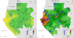 Image result for Nile Green 1964 GM
