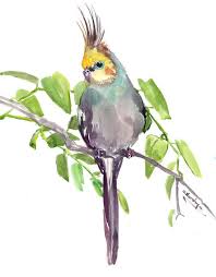 Pin On Watercolor Birds