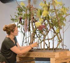 aktuell academy of flowerdesign aof floristmeisterschule international blumenarrangements florist blumen