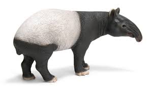 The tapir is a very interesting looking creature that somewhat resembles a pig. Schleich Wild Life Tapir Cardport Collectors Shop