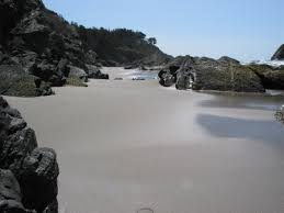 Image result for northern california coastline