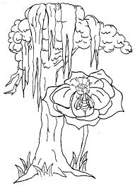 Get to know florida's state flower by coloring in this fragant blossom. Coloring Pages Office Of Governor John Bel Edwards