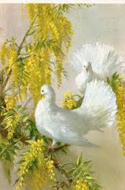 Tails Of Spring Bird Art Art Animal Art