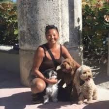 Pet sitter jobs near me. Looking For Dog Sitter In Toronto Where Our Small And Loving Dogs Will Stay At Your Own Home Pet Sitter Job In Toronto On Petsitter Com