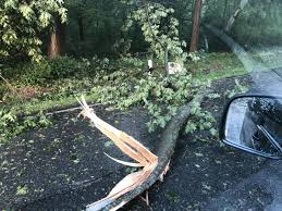 Der deutsche wetterdienst warnte deutlich vor schweren unwettern am dienstagabend in bayern. Sturm Chaos Im Nurnberger Land N Land