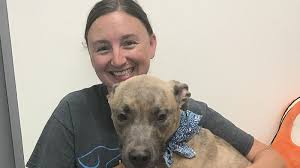 We provide only the best exotic and avian care in the area. No Kill Shelters Know Your Options Before You Adopt Or Surrender A Pet Toledo City Paper