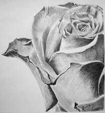 New Drawing Pencil Flowers People 61 Ideas Pencil Drawings Of Flowers Beautiful Flower Drawings Flower Drawing
