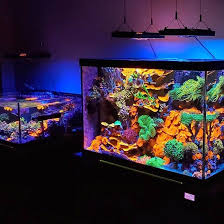 Call us in okc for more info! Pin By Kenneth On Reef Tanks Aqua Culture Reef Tank Marine Tank