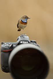 Touchn2btouched Love Photography Amazing Photography Photo