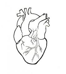 Real Heart Clipart 63 Cliparts Tumblr is a place to express yourself, discover yourself, and bond over the stuff you love.