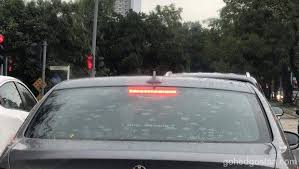 Check spelling or type a new query. Pernah Dengar Tentang Tint Tingkap Kenderaan Ms2669 Gohed Gostan