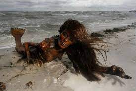 Explore the latest videos from hashtags: Port Au Prince Haiti This Morning A Group Of Haitians Found What They Say Is A Dead Mermaid Beachcomb Greek Stories Real Mermaids Real Mermaids Found Alive