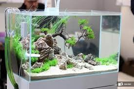 A small aquarium with simple aquarium decoration and small waterfalls are modern design trends also. Very Nice Clean Setup In A Small Susswasseraquarium Aquarien Aquarienfische