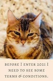 Funny 2021 Quotes New Year Hilarious Memes Happy New Year Message Happy New Year Sms Funny Kid Memes