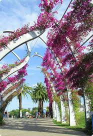 Site Not Found Brisbane City Australia Travel Brisbane Australia