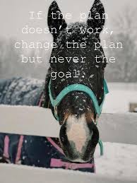 Originally Thought To Save To Horses Then To Sp Rocks This Quote Applies To All Aspects Of Inspirational Horse Quotes Horse Quotes Horse Riding Quotes