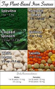 Pin By Shannon Cooley Herdman On Cash Poor Iron Rich Nutrition Nutrition Recipes Iron Rich Foods