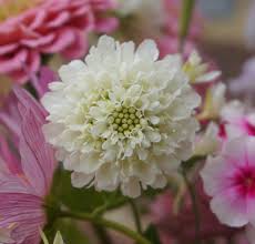 With a hand delivered get well bouquet you can show through action. Pin On Wedding Flowers