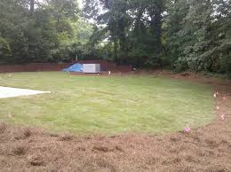 We did not find results for: Emerald Zoysia Atlanta Sod Company