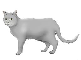 Dominant cats might block subordinate cats from doing something. Feline Behavior Problems Aggression Cornell University College Of Veterinary Medicine