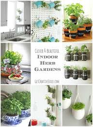 Indoor Herb Garden Ideas Creative Juice Herb Garden In Kitchen Indoor Herb Garden Herbs Indoors
