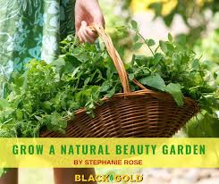 Like us for daily garden tips and beautiful pictures from the natural garden. Black Gold Grow A Natural Beauty Garden Botanicals That Soothe Your Skin